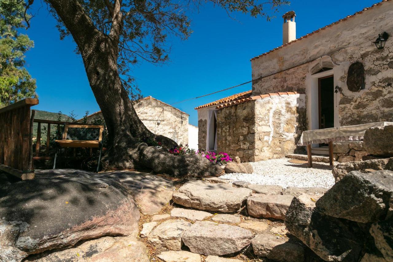 Casa Vacanza Stazzu Saiacciu 帕劳 外观 照片